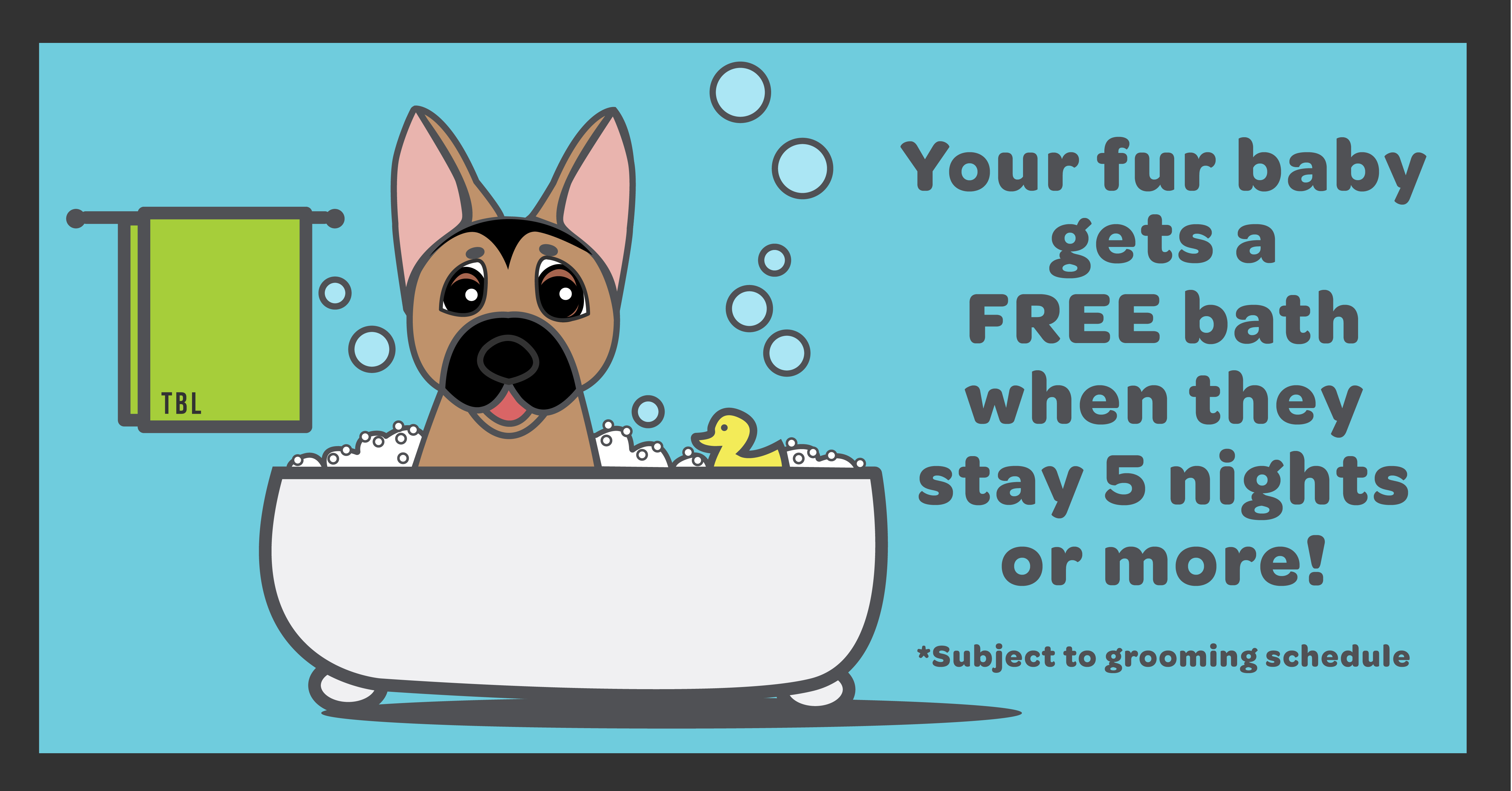 book your appointment