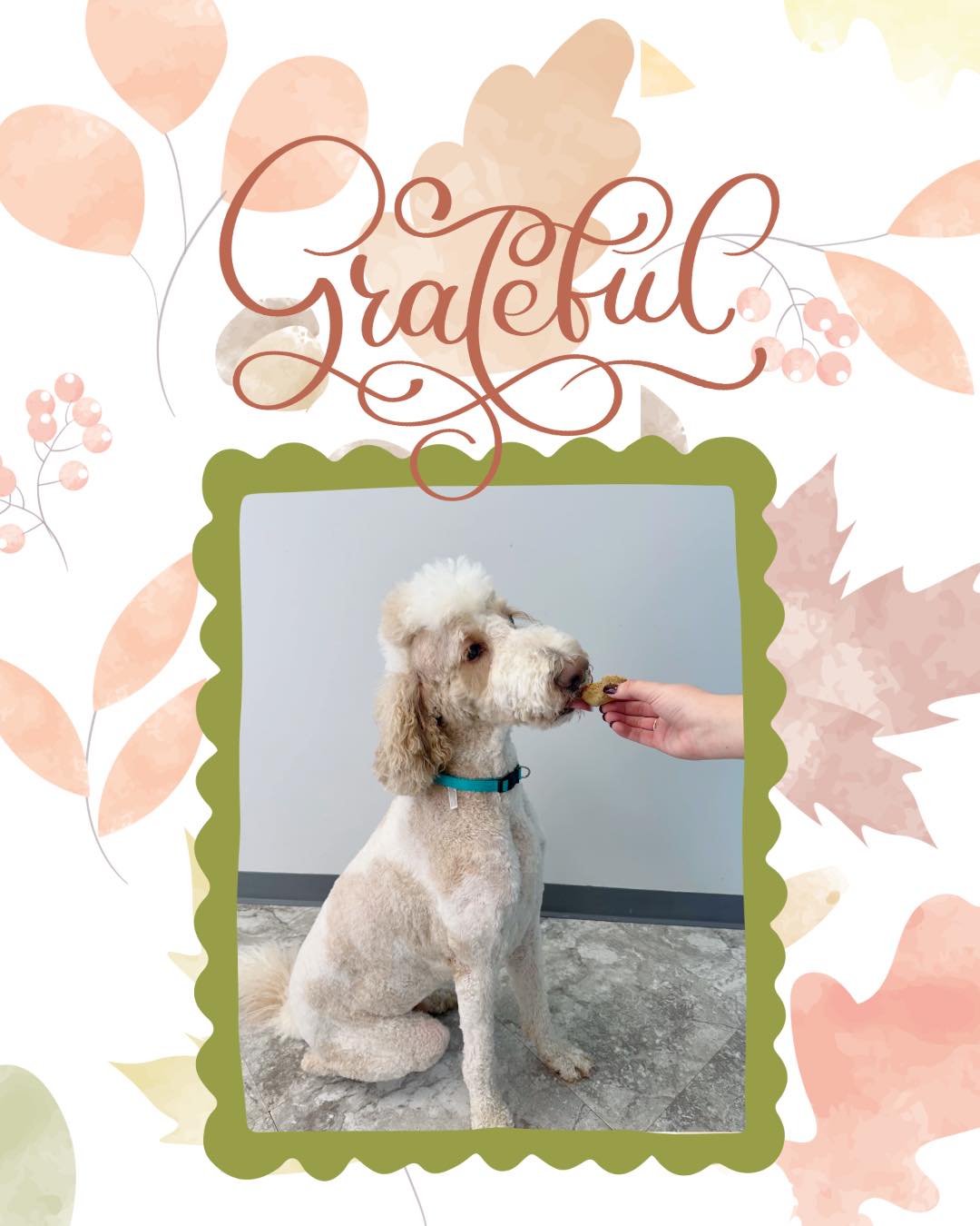 Thanksgiving Photoshoot