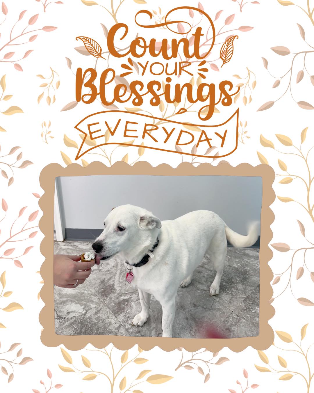 Thanksgiving Photoshoot