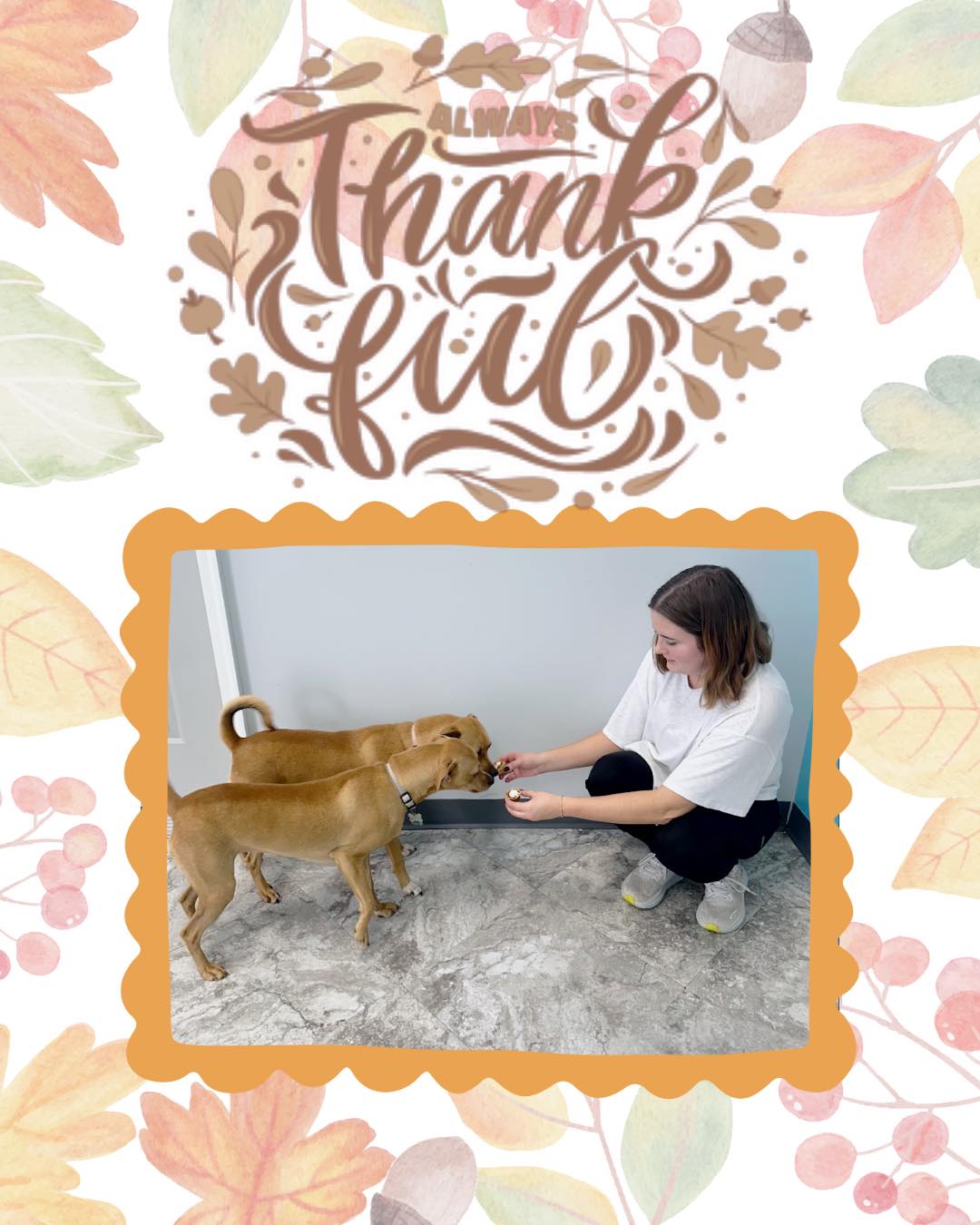 Thanksgiving Photoshoot