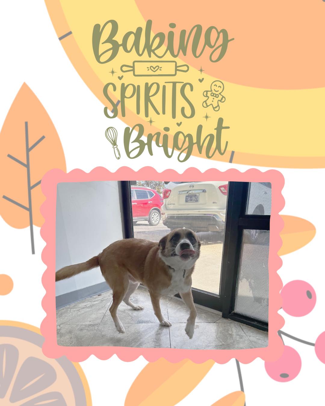 Thanksgiving Photoshoot